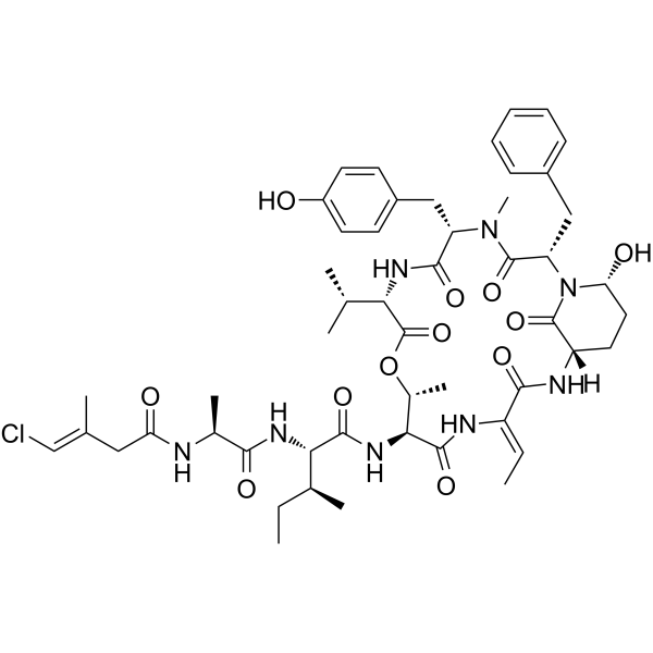 Tutuilamide A