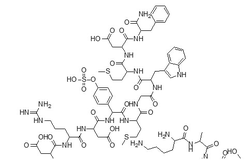 缩胆囊素