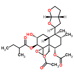 Dihydroajugapitin