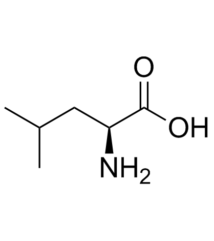 L-亮氨酸