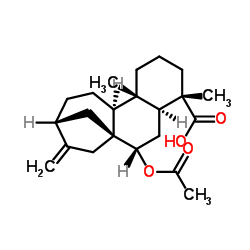 (4β,7β)-7-(乙酰氧基)-贝壳杉-16-烯-18-酸