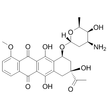 柔红霉素