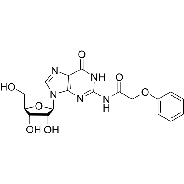 N2-苯氧基乙酰基鸟苷