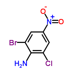 2-氯-4-硝基-6-溴苯胺