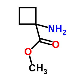 1-氨基环丁烷甲酸甲酯盐酸盐