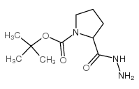DL-N-Boc-脯氨酸酰肼