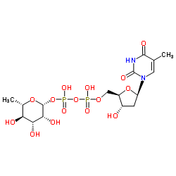 Thymidine diphosphate-L-rhamnose