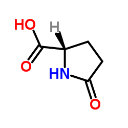 DL-焦谷氨酸