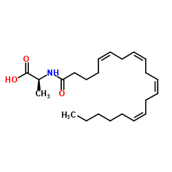 N-花生四烯酰基-(L)-丙氨酸(NA-Ala)