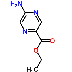 5-氨基吡嗪-2-羧酸乙酯