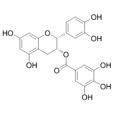 表儿茶素没食子酸酯