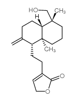 新穿心莲内酯苷元