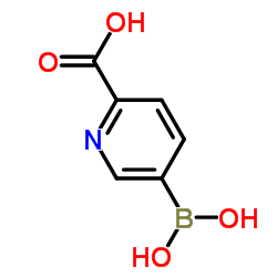 2-羧基吡啶-5-硼酸