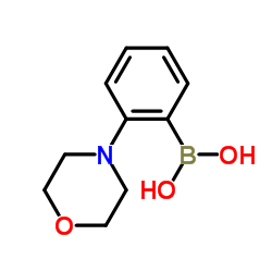 2-吗啉苯硼酸