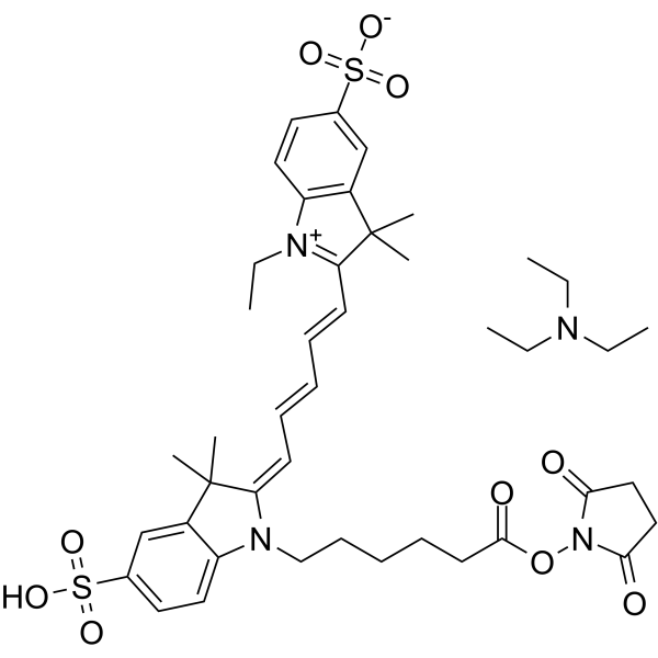 CY5-SE triethylamine salt