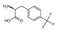 L-4-三氟甲基苯丙氨酸