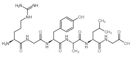ARG-GLY-TYR-ALA-LEU-GLY: RGYALG