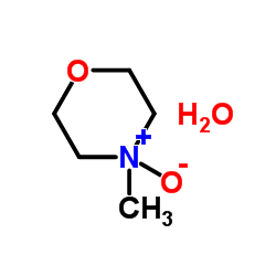 N-甲基吗啉氧化物