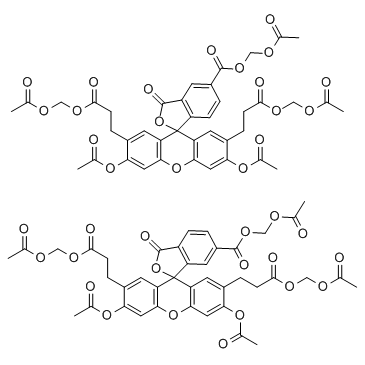 BCECF-AM