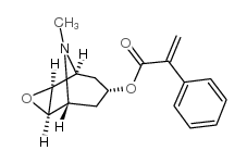 东茛菪碱