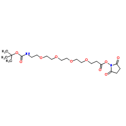 Boc-NH-PEG4-NHS ester