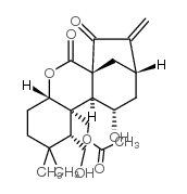 毛叶香茶菜素E