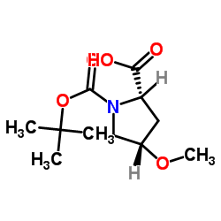 顺式-1-N-BOC-4-甲氧基-L-脯氨酸