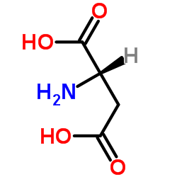 天冬氨酸