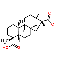 Ent-贝壳烯烷-17,19-二酸