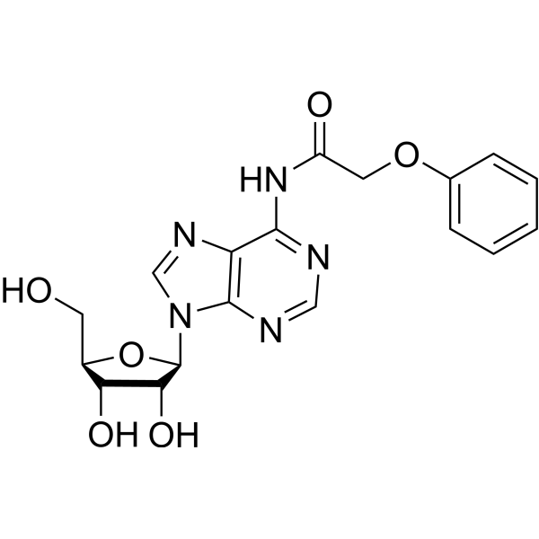 N6-Phenoxyacetyladenosine