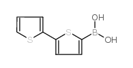 2,2'-联噻吩-5-硼酸