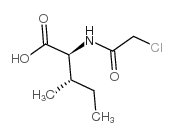 氯乙酰基-L-异亮氨酸