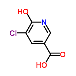 5-氯-6-羟基烟酸