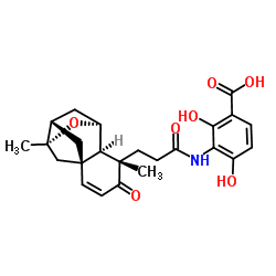 Platensimycin