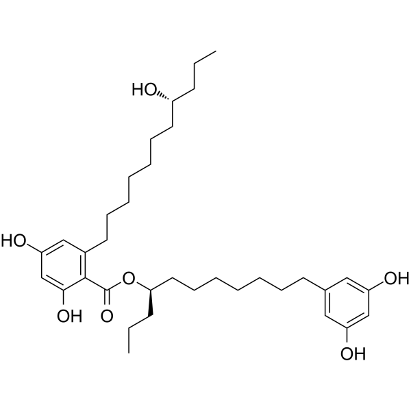 整合素B