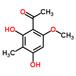 Ebracteolata cpd B