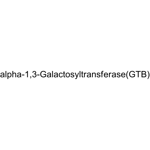 alpha-1,3-Galactosyltransferase(GTB)