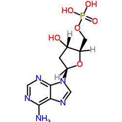 2'-脱氧腺苷-5'-单磷酸