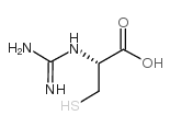 IQB-782