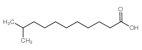 10-甲基十一烷酸