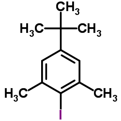 5-叔丁基-2-碘-1,3-二甲基苯