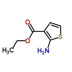 2-氨基噻吩-3-羧酸乙酯