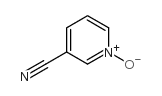 3-氰基吡啶氮氧化物