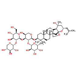 酸枣仁皂苷B1