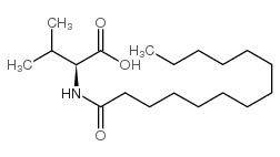 N-十四碳酰基-L-缬氨酸