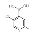 2-氟-5-氯吡啶-4-硼酸