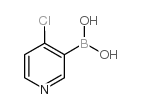 4-氯吡啶-3-硼酸