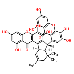 Griffipavixanthone