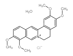 巴马汀氯化物一水合物