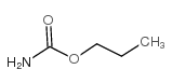 丙基碳酸酯